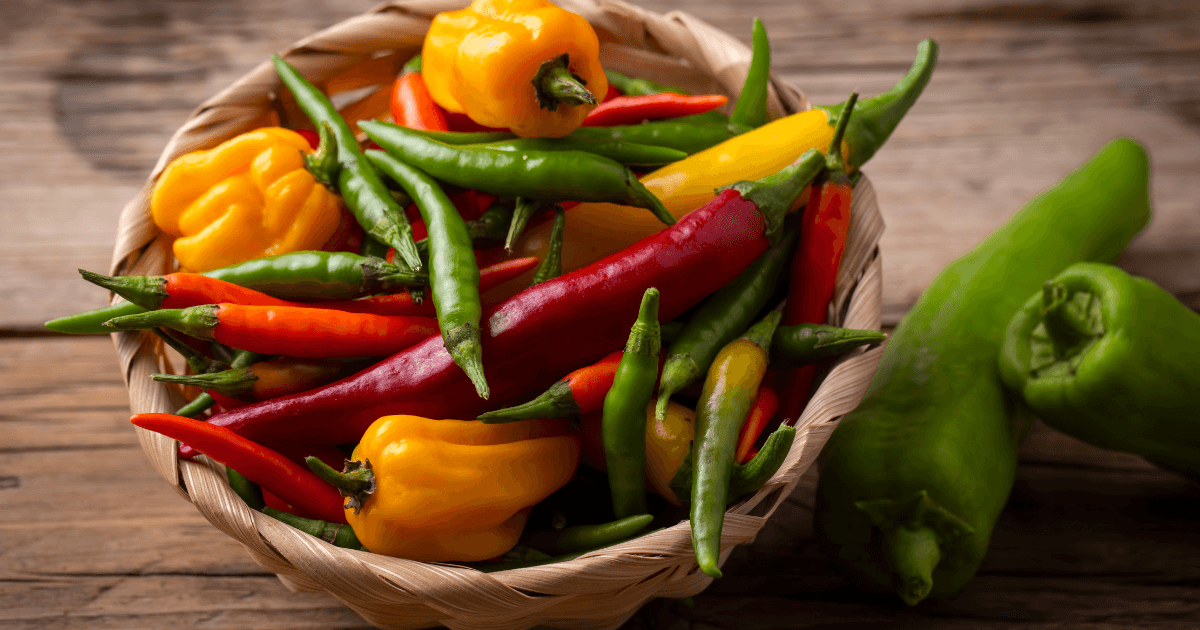 Capsicums: The Peppy Allure of Bell Peppers and Fiery Siblings | The ...